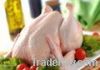 Export Chicken Meat | ...