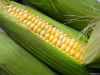 We sell  Corn (Forward...