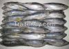 Frozen Seafood , Horse Mackerel, Salmon, Shrimp, Skipjack Tuna