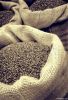 Export Coffee Beans | ...