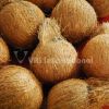Coconuts
