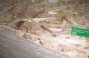 OSB ( Oriented Strand ...