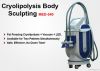 2012 Newest Cryolipolysis+Vacuum System /Weight Loss Beauty Machine