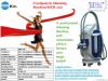 2012 Newest Cryolipolysis+Vacuum System /Weight Loss Beauty Machine
