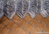 chain link wire mesh