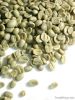 robusta coffee beans i...
