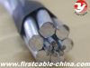 aluminum conductor steel reinforced A1/S2A (acsr)