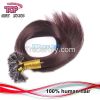 supply 100% human hair extension prebonde u tip hair extension