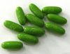 Only $1 Nature Herbal Slimming Pills- DALi