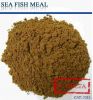 SEA FISH MEAL