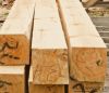 Timber wood from Ukraine producer FOB Odessa - 205 USD per 1 cub.m