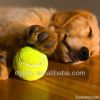 pet-dog-cat-toys-teeth-cleaning tennis ball