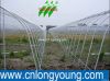 Tunnel Greenhouse for agriculture