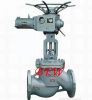 Cast steel ANSI&amp; DIN globe valve