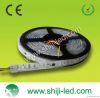 1903IC LED digital strips--Programable waterproof  strips