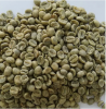 Green Arabica Coffe Beans