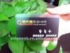 CMYK4-Color Printing Plastic PVC ID Card