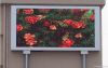 outdoor P10 LED display