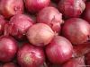 Fresh Red Onions