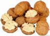 Walnut Suppliers | Wal...