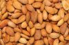 Almond Nuts Quality Raw Almond Nuts