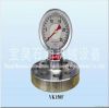 Mud pump pressure gauge, sensor, etc