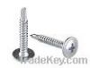 STEEL SELF DRILLING SCREW