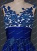 00455 Real picture sheer top lace appliqued 2014 evening dress online shopping