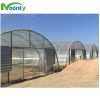 Economical Single Tunnel Greenhouse