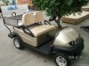 Golf Buggy 2to 23 Seater