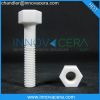 Yttria-Stabilized ZrO2/Zirconia Ceramic Screw/Insulation Application