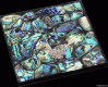 Paua Shell tile