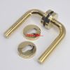 Polished Gold Golden PVD door window handle