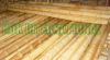 bamboo cane/pole/stick