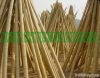 bamboo cane/pole/stick