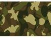 Camouflage PPGI Base Material GI, GL/AZ, EG,