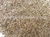 Market of Cumin (Divya...