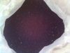 Nigella sativa black c...