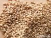 Flax Seeds, Jatropha S...