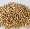 Kidney Beans , Chickpeas , Green Mung Beans, Peas, Lentils 