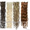 long beautiful wholesale  straight and curly clip in hair extension
