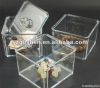 fashion acrylic display box