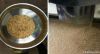 stainless steel grain ...