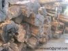 African Blackwood logs...