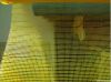 HOT! a good priced quality fiberglass mesh (in construction)