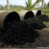 Coconut shell Charcoal