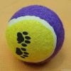 Toy Buddies Exerciser Mini Tennis Ball 6-pack