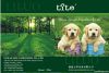 2012 Best selling Fashional pet product