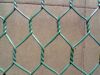 PVC Hexagonal Wire Net...