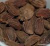 black cardamom